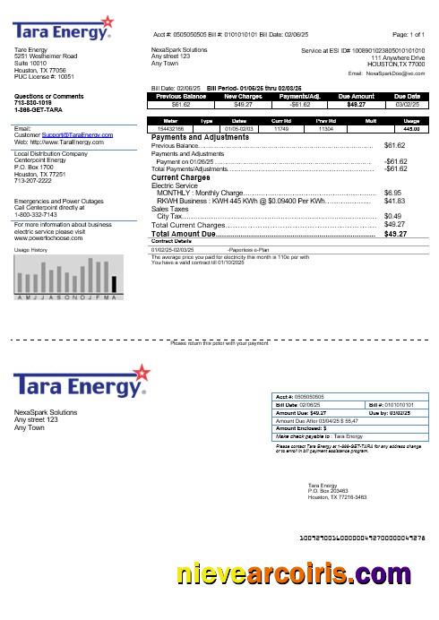 USA Texas Tara Energy business utility bill